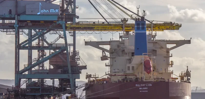BALTIC LION Bulk Carrier IMO 9593464 photo 2