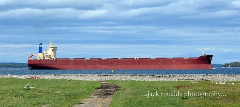BALTIC LION Bulk Carrier IMO 9593464 photo 5