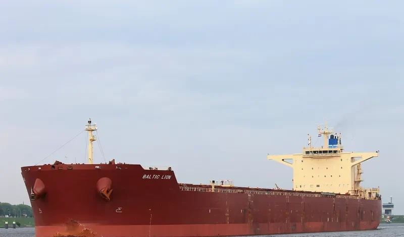 BALTIC LION Bulk Carrier IMO 9593464 photo 7