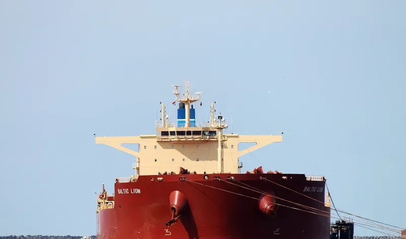 BALTIC LION Bulk Carrier IMO 9593464 photo 9