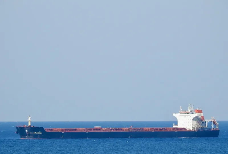 AM GHENT Bulk Carrier IMO 9593476 photo 10