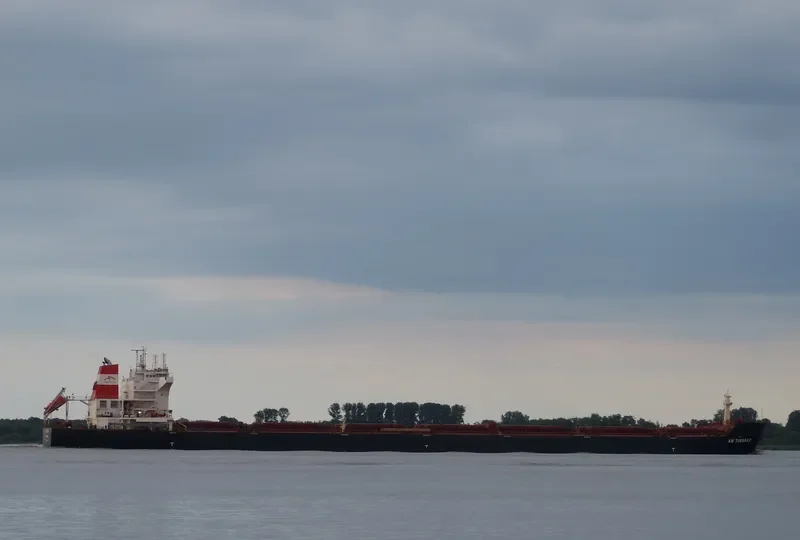 AM TUBARAO Bulk Carrier IMO 9593488 photo 2