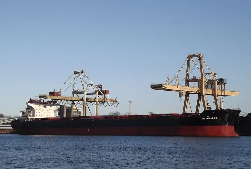 AM TUBARAO Bulk Carrier IMO 9593488 photo 9