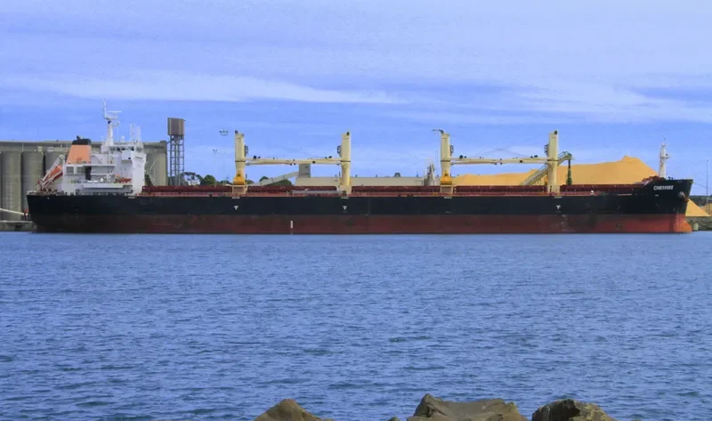 CHESHIRE Bulk Carrier IMO 9593646 photo 5