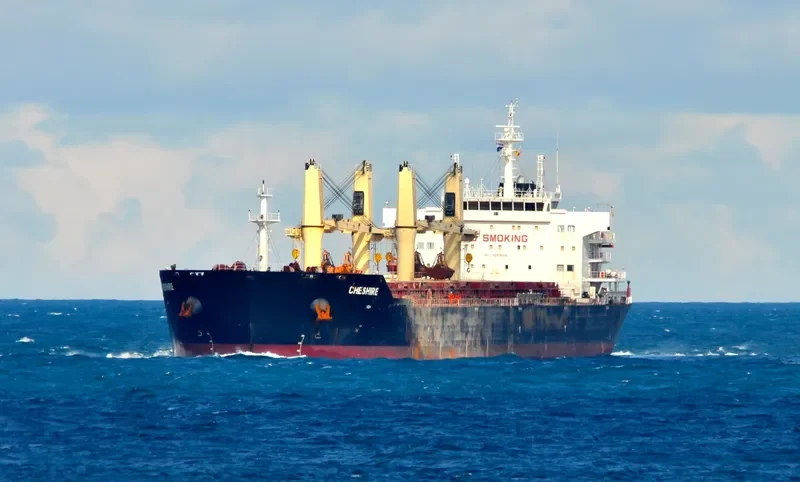 CHESHIRE Bulk Carrier IMO 9593646 photo 8