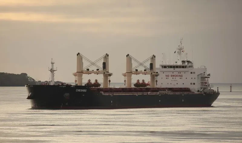 CHESHIRE Bulk Carrier IMO 9593646 photo 10