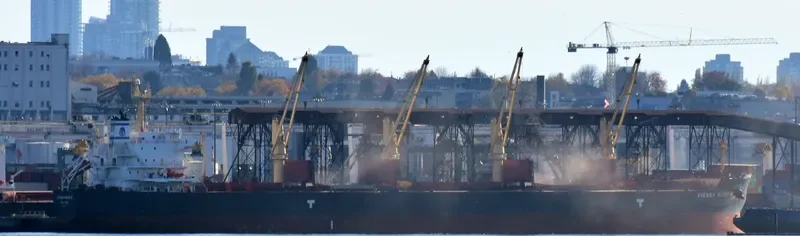 VIENNA WOOD N Bulk Carrier IMO 9593713 photo 2