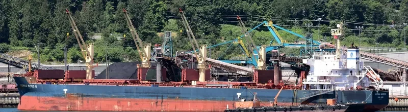 VIENNA WOOD N Bulk Carrier IMO 9593713 photo 3