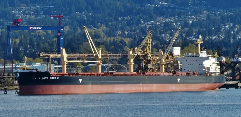 VIENNA WOOD N Bulk Carrier IMO 9593713 photo 9