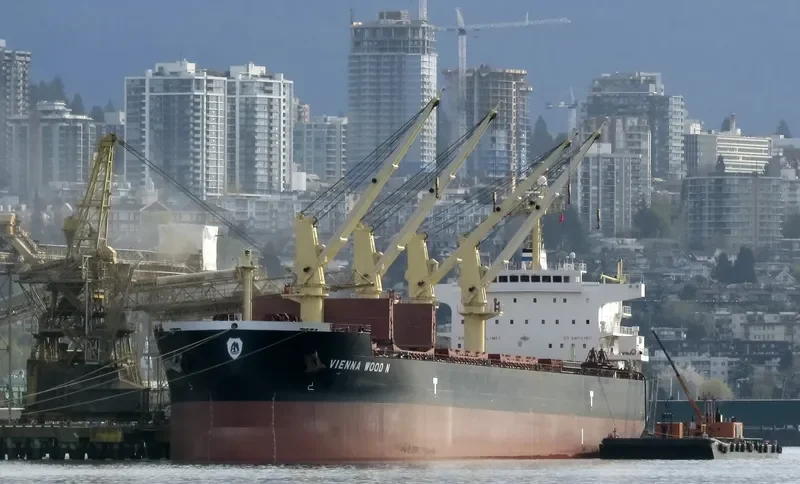 VIENNA WOOD N Bulk Carrier IMO 9593713 photo 10