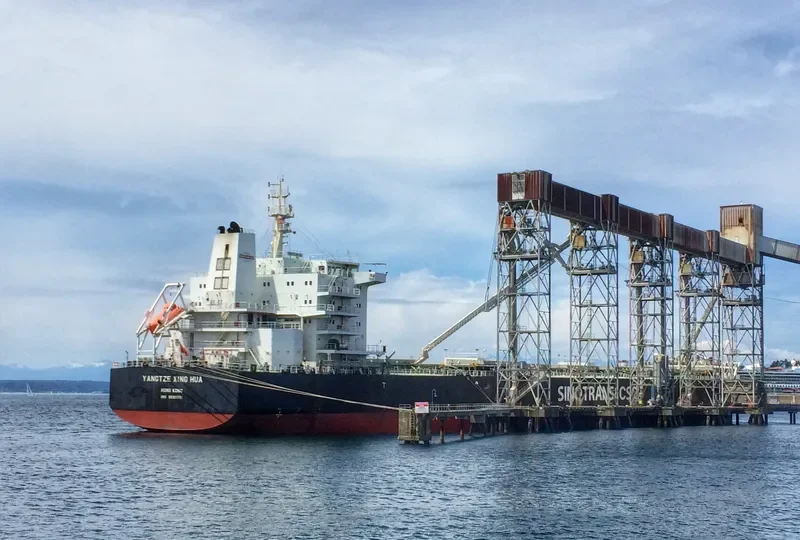 YANGTZE XING HUA Bulk Carrier IMO 9593751 photo 4