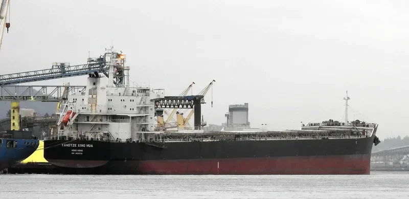 YANGTZE XING HUA Bulk Carrier IMO 9593751 photo 8