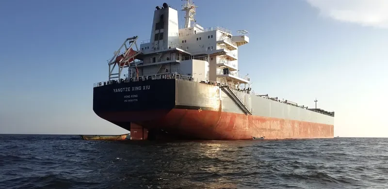 YANGTZE XING XIU Bulk Carrier IMO 9593775 photo 2