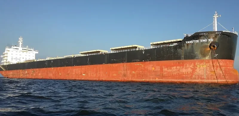 YANGTZE XING XIU Bulk Carrier IMO 9593775 photo 3