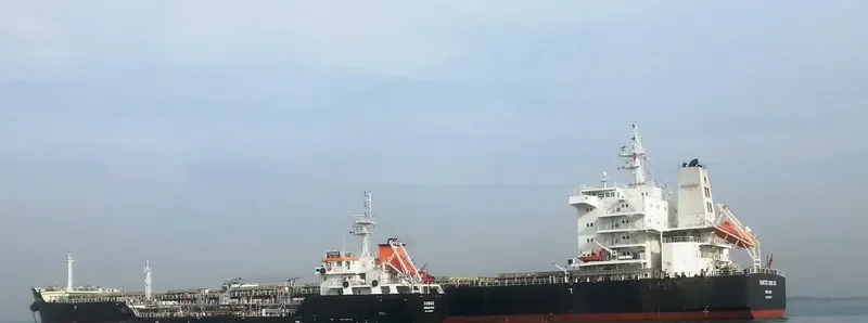 YANGTZE XING XIU Bulk Carrier IMO 9593775 photo 6