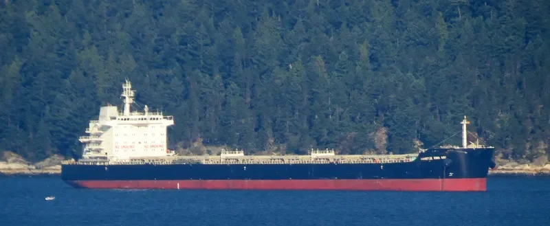 YANGTZE XING XIU Bulk Carrier IMO 9593775 photo 10