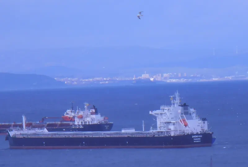 ZHENG KAI Bulk Carrier IMO 9593787 photo 4