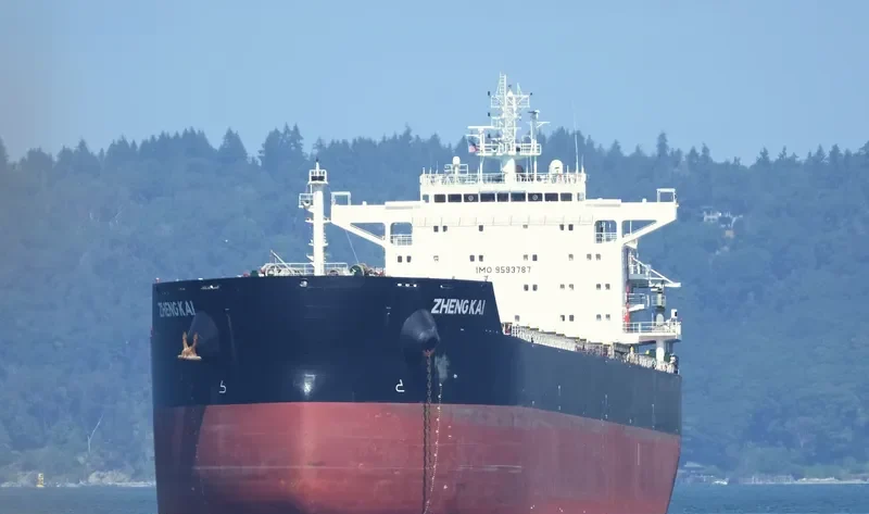 ZHENG KAI Bulk Carrier IMO 9593787 photo 8