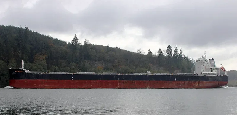 ZHENG RUN Bulk Carrier IMO 9593816 photo 2