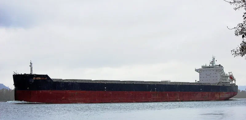 ZHENG RUN Bulk Carrier IMO 9593816 photo 3