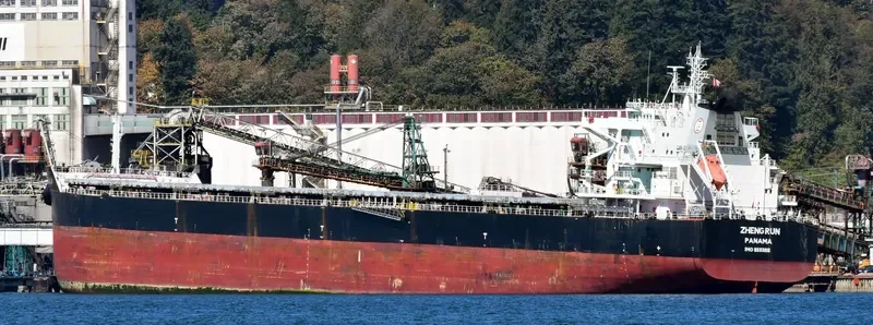 ZHENG RUN Bulk Carrier IMO 9593816 photo 5