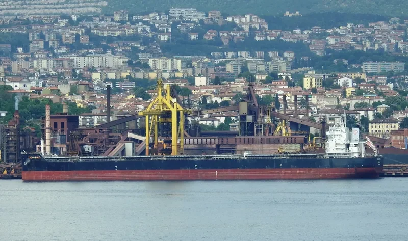 ZHENG RONG Bulk Carrier IMO 9593828 photo 4