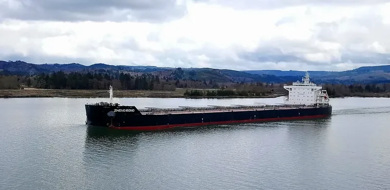 ZHENG RONG Bulk Carrier IMO 9593828 photo 5
