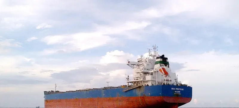 SEA PROTEUS Bulk Carrier IMO 9593830 photo 2