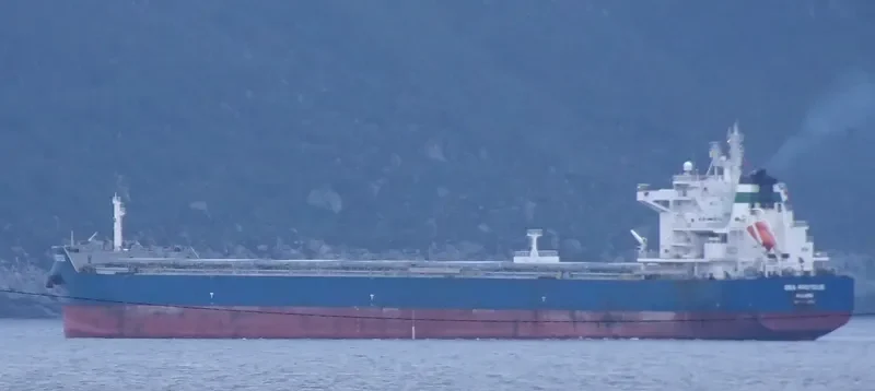SEA PROTEUS Bulk Carrier IMO 9593830 photo 5