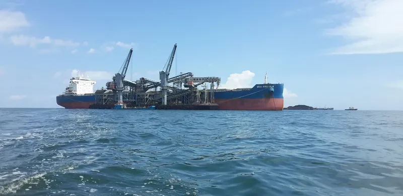 SEA PROTEUS Bulk Carrier IMO 9593830 photo 9