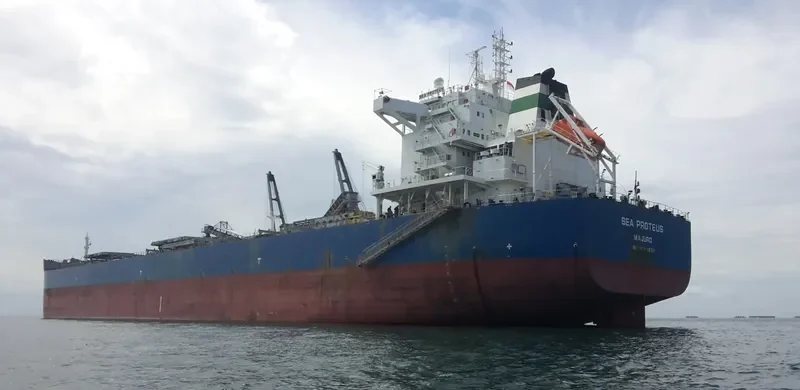 SEA PROTEUS Bulk Carrier IMO 9593830 photo 10