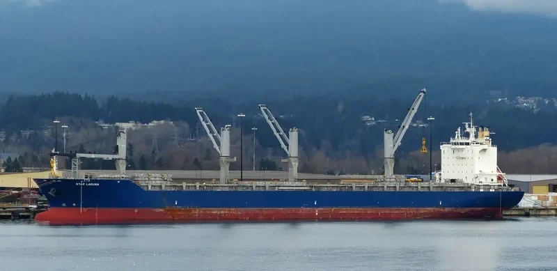 STAR LAGUNA Container Ship IMO 9593854 photo 5