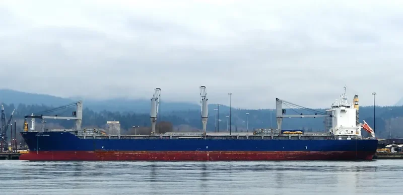 STAR LAGUNA Container Ship IMO 9593854 photo 6