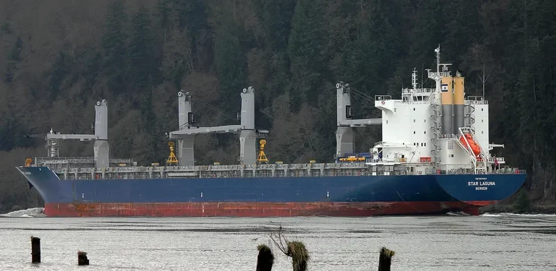STAR LAGUNA Container Ship IMO 9593854 photo 9