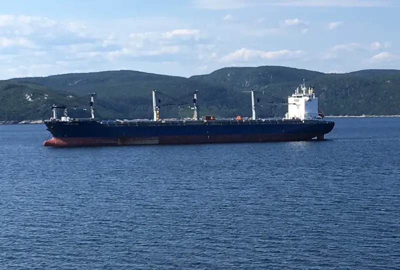 STAR LOFOTEN General Cargo IMO 9593892 photo 4