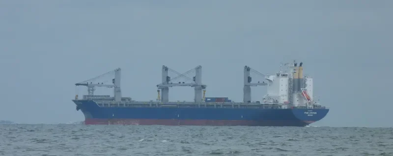 STAR LOFOTEN General Cargo IMO 9593892 photo 8
