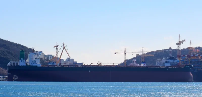 ORE KOREA Bulk Carrier IMO 9593969 photo 2