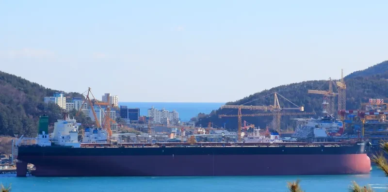 ORE KOREA Bulk Carrier IMO 9593969 photo 3