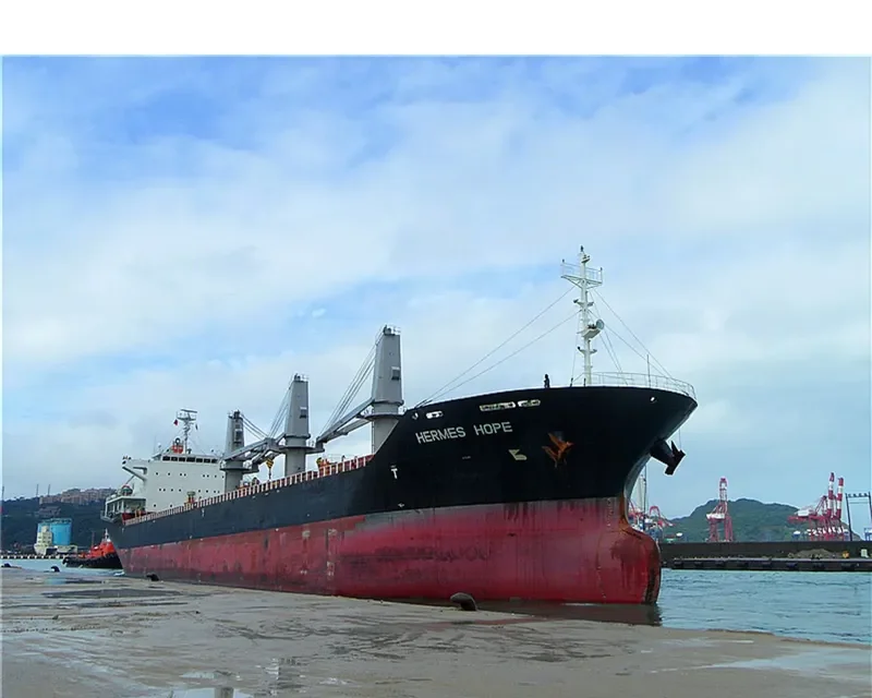 HERMES HOPE Bulk Carrier IMO 9594078 photo 2
