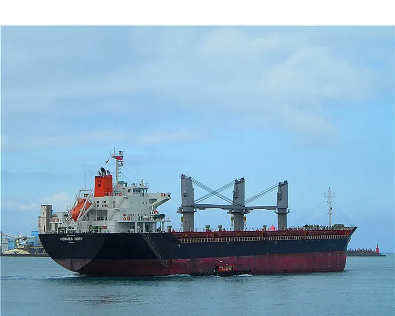 HERMES HOPE Bulk Carrier IMO 9594078 photo 6