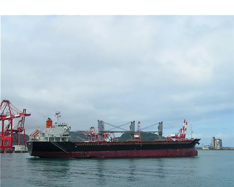 HERMES HOPE Bulk Carrier IMO 9594078 photo 7