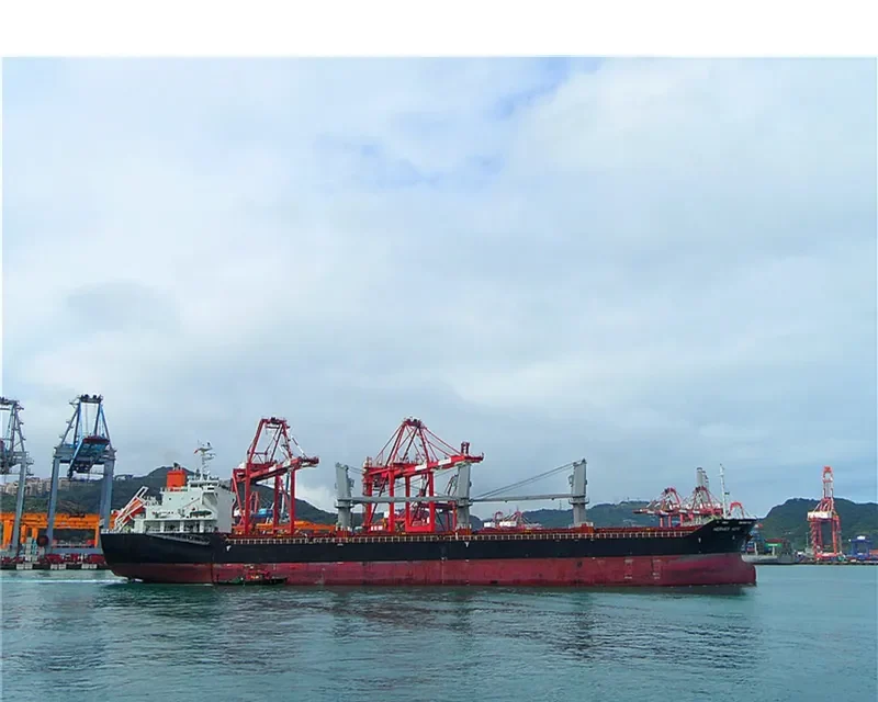 HERMES HOPE Bulk Carrier IMO 9594078 photo 8