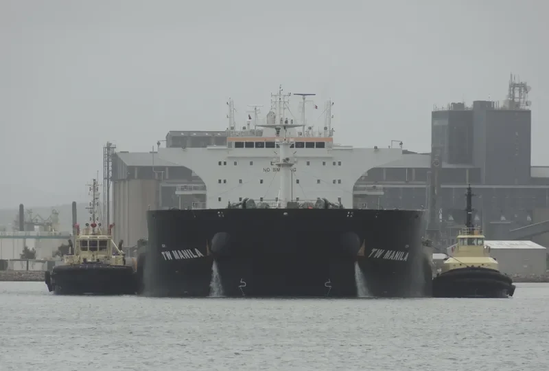 TW MANILA Bulk Carrier IMO 9594121 photo 3