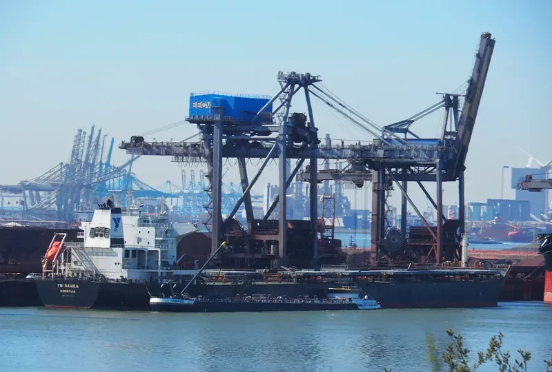 TW MANILA Bulk Carrier IMO 9594121 photo 9