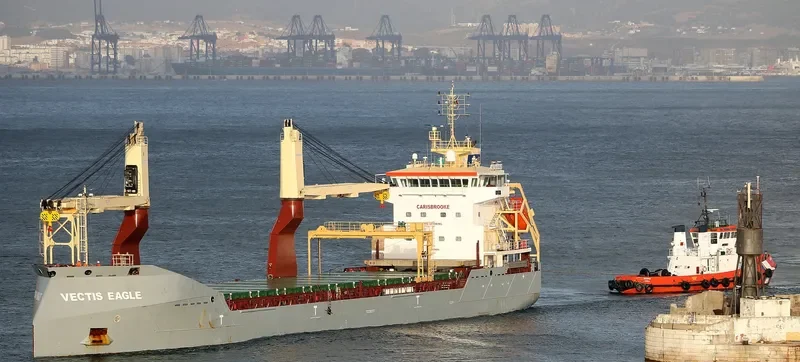 VECTIS EAGLE General Cargo IMO 9594286 photo 4
