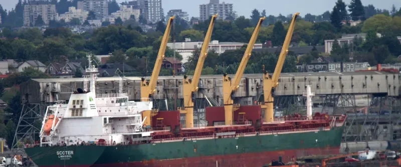 BAO YUAN Bulk Carrier IMO 9594420 photo 3