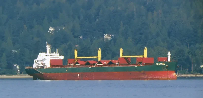 BAO YUAN Bulk Carrier IMO 9594420 photo 4
