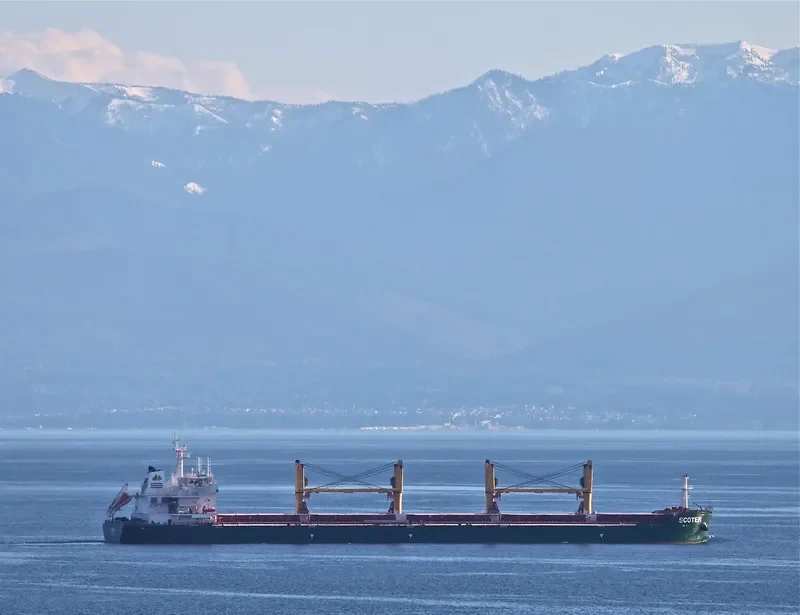 BAO YUAN Bulk Carrier IMO 9594420 photo 8