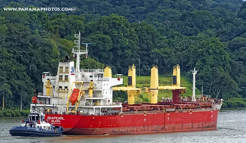 SEAPEARL Bulk Carrier IMO 9594468