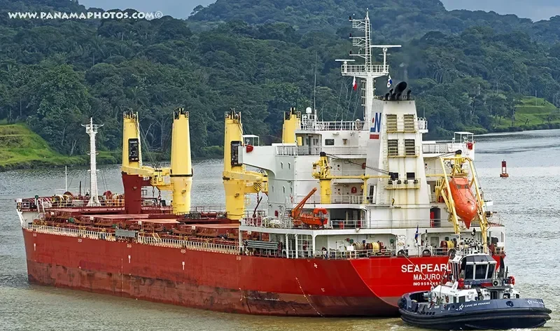 SEAPEARL Bulk Carrier IMO 9594468 photo 2